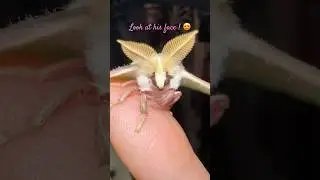 His is very real! #moths