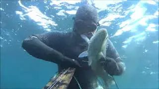 hitman spearfishing - winter hunters