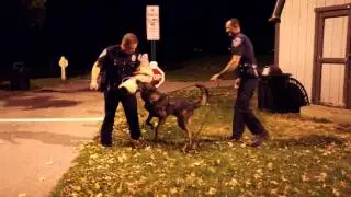 2015 Speedway Police Citizens Academy - K9 Demo