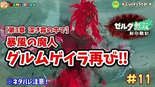 【ゼルダ無双 封印戦記】#11 深き霧の中で｜暴風の魔人グルムゲイラ再び‼️コログ＆宝箱全回収