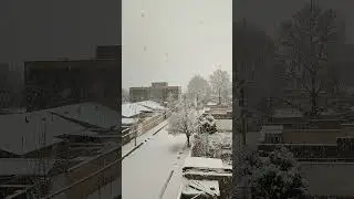 Yasuj- Iran