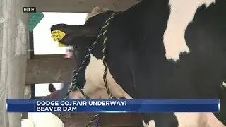 Dodge Co Fair