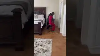 K9 Cane fully trained protection dog doing bite work with gunfire