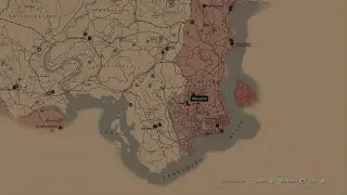 RDR2 The Rare Carolina Parakeet Location