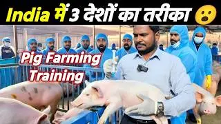 India में Pig Farming Training 😮 | 3 देशों का तरीका | Ground Reality