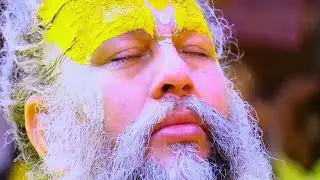 👉 Premanand Ji Maharaj ke bhavuk aansu #radheradhe #premanandjimaharaj 
