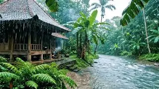 Gentle Rain Sounds ASMR | Ultimate Relaxation
