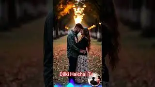 Dilki Halchal Tu. Latest hindi song |New Bollywood song |Romantic Song  #hindisong #bollywood #songs