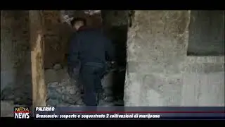 Palermo. Brancaccio. Scoperte e sequestrate due coltivazioni di marijuana