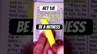 Find Your Peace In Scripture 🕊️🙏📖 #Scripture #Peace #Bible #DailyDevotional #Faith #Shorts ￼