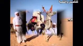 شعانبة بني عباس