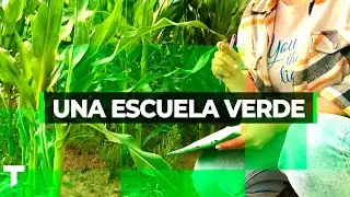 UNA ESCUELA VERDE: Una escuela que enseña a contaminar menos el medio ambiente