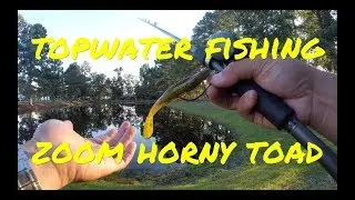 Zoom Horny Toad BullFrog Topwater Bass Fishing