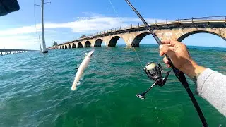 Florida Keys Fishing | 7 Mile Bridge Fish Of A Lifetime On A Lure