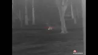 ATN Thor 4 2x25 640 Thermal coyote hunt