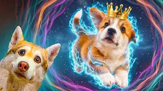 THE GREAT KING KORG 4! A PUPPY FROM A PARALLEL WORLD! Husky Bublik the Talking Dog