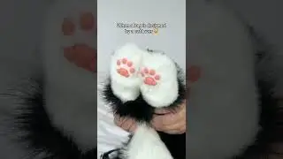 Realistic Cat Plush 🐱 | Handmade Companion Pet Gift Idea!