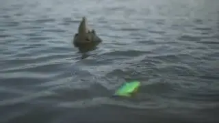 BULL TANK action movie