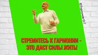 Стремитесь к Гармонии - это даст силы Жить! Торсунов лекции