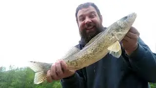 Taylorsville lake spill way Sauger!!