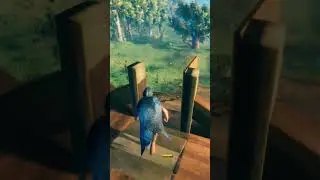 When I get too excited building in Valheim