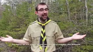 Insect Inspection Episode 1: The Monarch