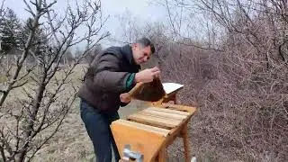 Winer Hive inspection Dadant and Top bar hives