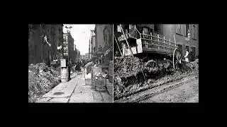 The Great Horse Manure Crisis