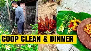 MASSIVE Chicken Coop Clean Up! Satisfying Farm Dinner 
