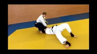 Буки дори buki dori. Ханми наге hanmi nage