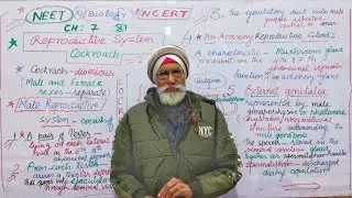 Class11,Ch-7,Structural organisation in animals,Anatomy of reproductive system of cockroach