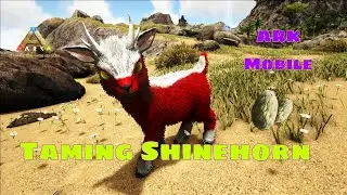 Taming Shinehorn || How To Tame Shinehorn Ark Ultimate Survival Mobile Edition #arkmobile