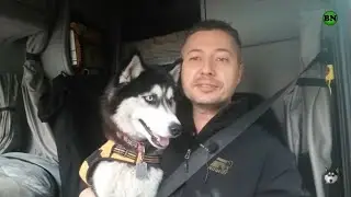 Оттава. Покинутый город Канады / Блогер и Хаски / Блогер БН