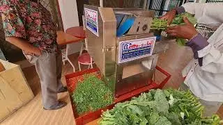 New Commercial Vegetable Cutter Model S20 from Botto Solar Ltd