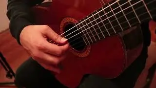 38 - Klasik Gitar Dersi 38 (PİMİAİMİ Arpej &ccedil;alışması)