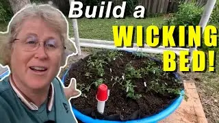 Building a Self Watering Bed from a Kiddie Pool - Part 1