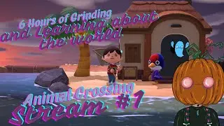 6 Hours of Grinding and Talking About Politics | Animal Crossing: New Horizons Stream