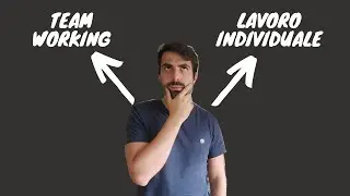 Il data Analyst lavora in team?