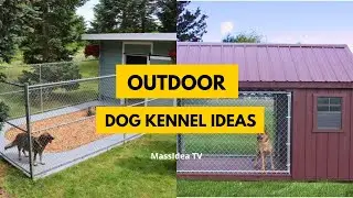 30+ Awesome Outdoor Dog Kennel Ideas to Keep Your Pup Safe & Stylish