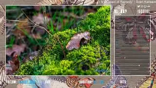 Twitch Stream #0160 | 08.04.2021 | Stardew Valley | Kurzer Ausflug zum Wertstoffhof! Detroit am ...