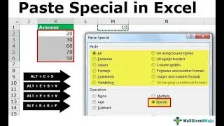 Complete use of excel paste special option || Excel VBA - PASTE SPECIAL  #excel