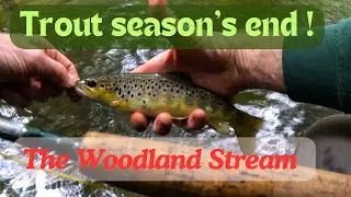 Glorious end to trout season 24!