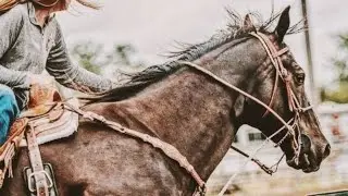 CAN'T HOLD US // Western Riding music video 