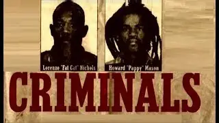 The Downfall Of Fat Cat, Pappy and South Jamaica, Queens