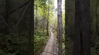 #жизнь #life #цитаты #нравится