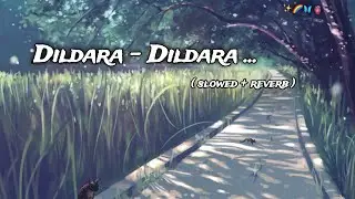 Dildara song no copyright | Dildara lofi mix song | ra.one song | no copyright [ NCS By Hu ] ✨💫💗