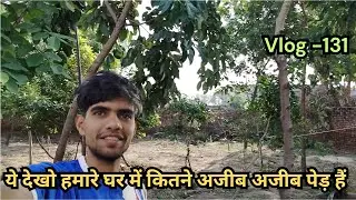 ये देखो हमारे घर में कितने अजीब अजीब पेड़ हैं  / Vlog -  131 / Colpia Vlogger
