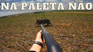 S&Oacute; VENDO PARA CRER| JAVALI BRASIL | #repost
