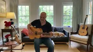 Pilliga Forest improvisation