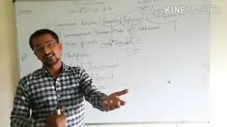 Comparison between business, profession and employment